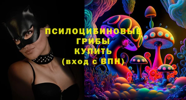 PSILOCYBIN Абинск