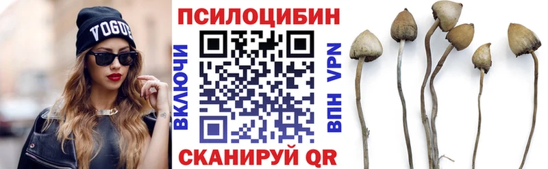маркетплейс как зайти  Разумное  Псилоцибиновые грибы Magic Shrooms 